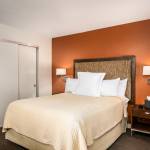 Saddlebrook Resort