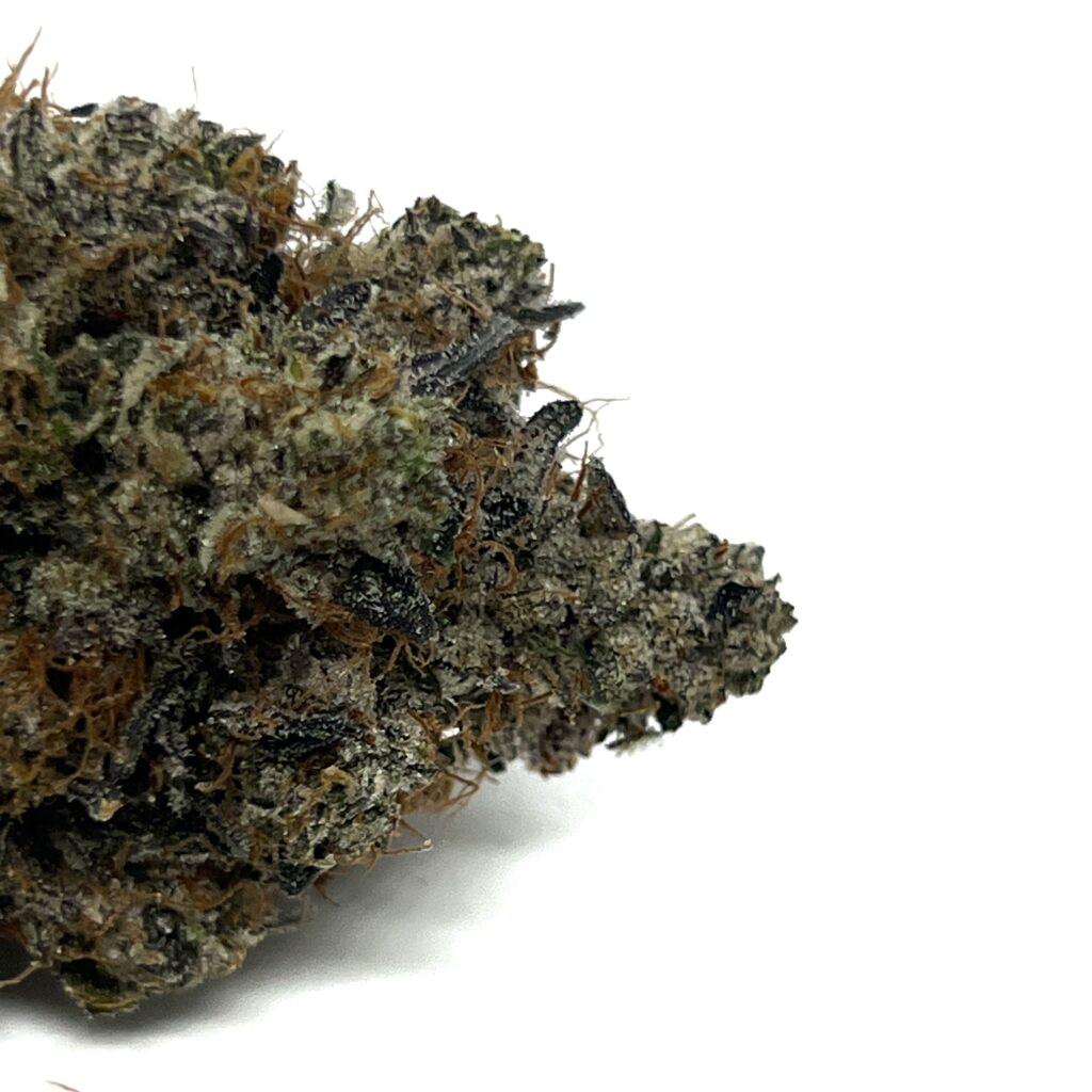 Where can you get South Surrey Same Day Weed Delivery today?