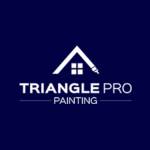 Triangle Pro Painting