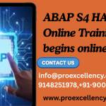 Proexcellency Solutions