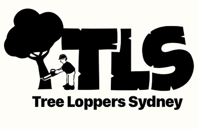 Safe & Expert Tree Removal Sydney | Certified Arborists | TLS