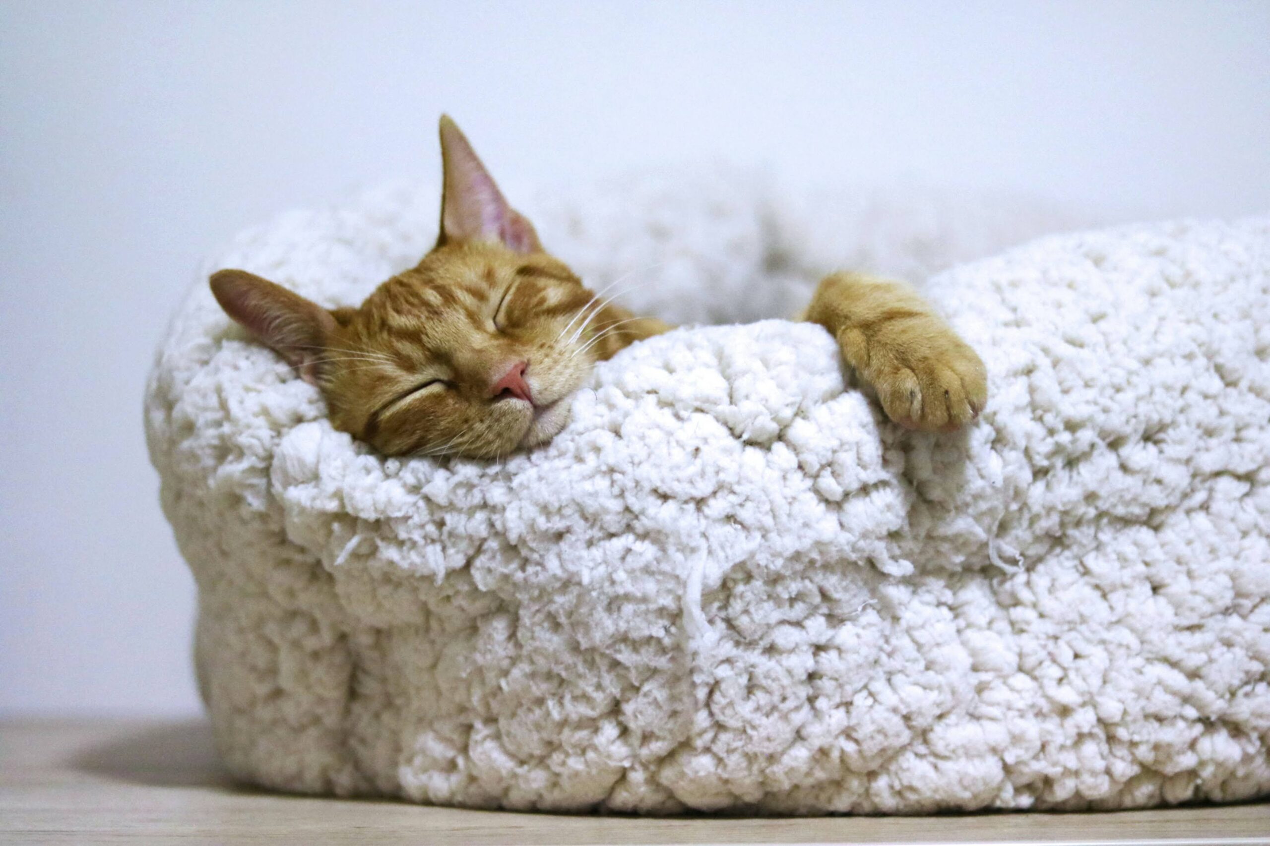 How Strategic Rest Can Transform Your Life and Work?
