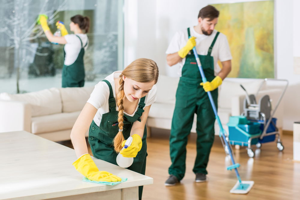 Rainforest Eco Cleaning | Eco-Friendly House Cleaning Company