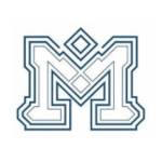 Manaviya Tech Solutions