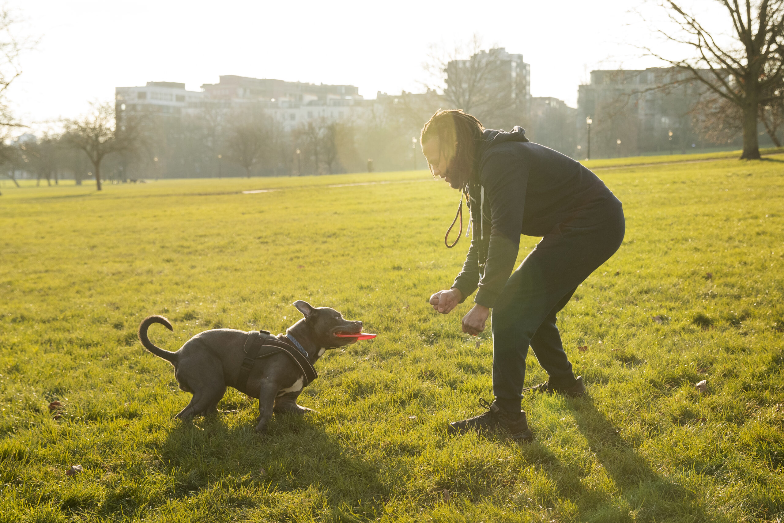 Cities Adapting to Pet-Friendly Spaces: Parks, Transport & Urban Living
