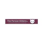 The Persian Kittens