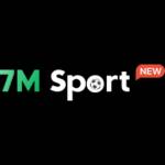 7M Tours