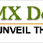 AMX Detectives
